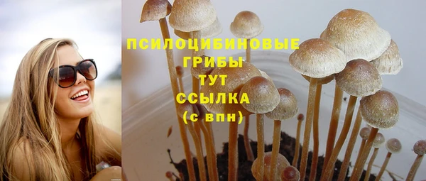 таблы Армянск