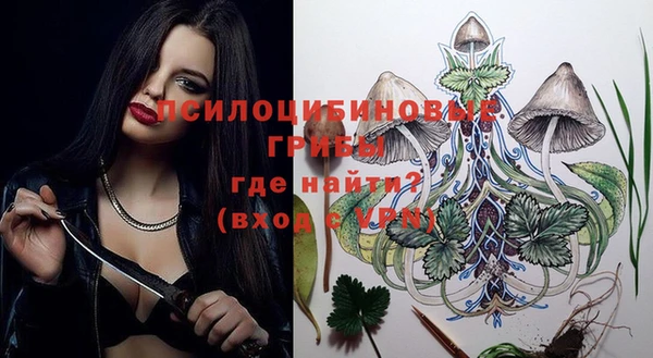 таблы Армянск