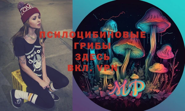 таблы Армянск
