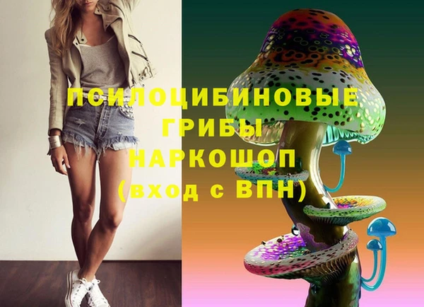 герыч Арсеньев